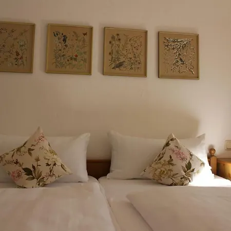 Bergblick - Allgaeublick *