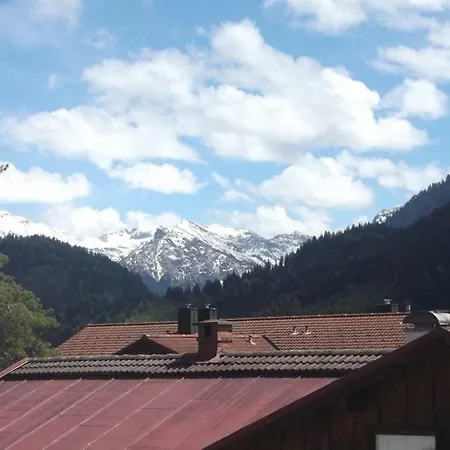Bergblick - Allgäublick Apartment *
